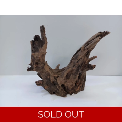 Corbo wood A19 21cm by 20cm L X H